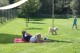 Thumbs/tn_Bild-01 003.jpg